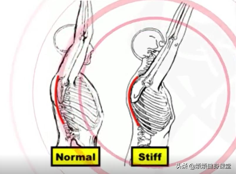 帕梅拉10分钟改善圆肩驼背,改善圆肩驼背的最有效动作