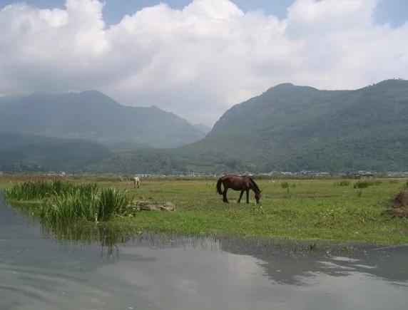 七彩云南感受不一样的南国风光,印象云南旅游视频