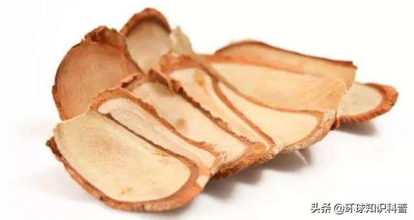 马来西亚吉隆坡必买的特产,去马来西亚必买的10件东西