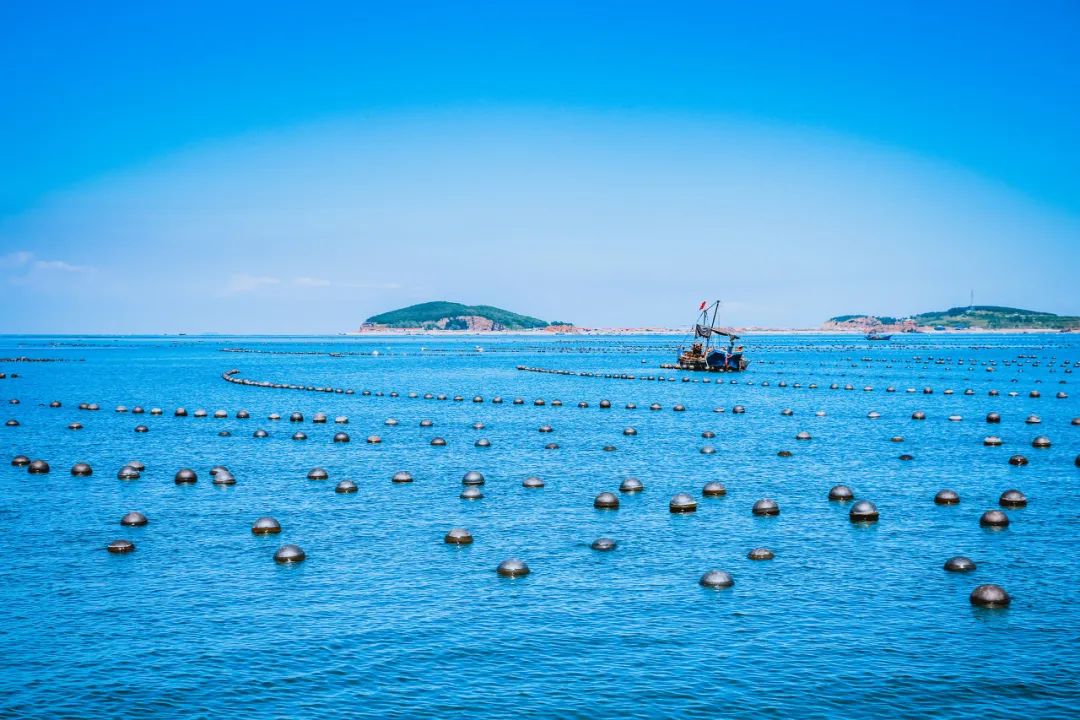 突然就想去成都了,突然想去青岛了