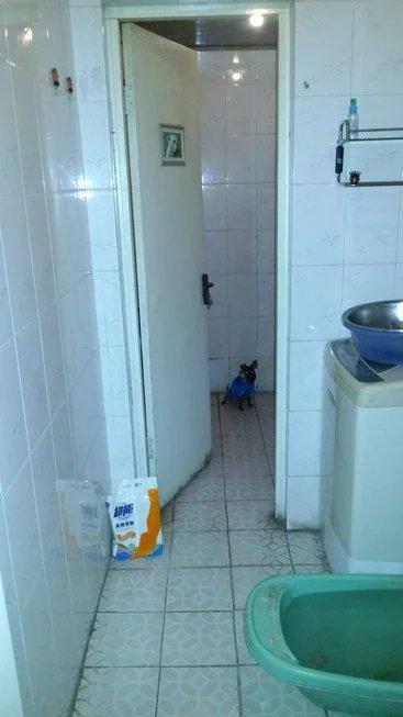 伸舌头的小鹿犬,爱洗澡的小鹿犬