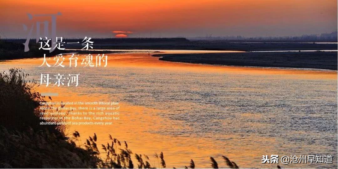 闻名遐迩的沧州，神奇的土地看得见的美！想不想一起更了解狮城呢