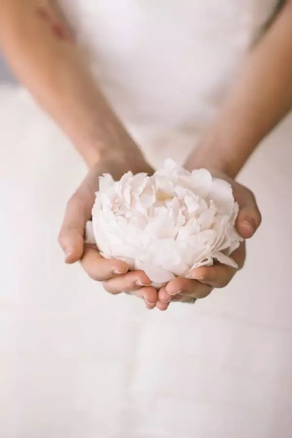 开玩笑送什么花合适呢,各种场合应该送什么花