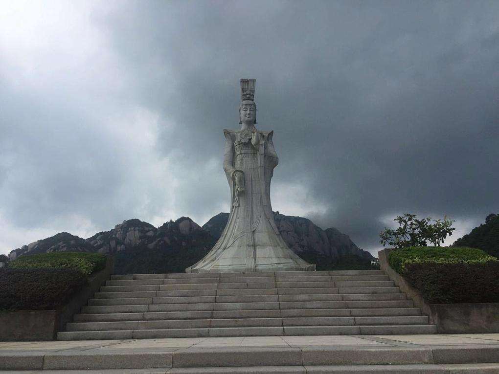 你知道的安吉白茶,有关福鼎白茶的资料