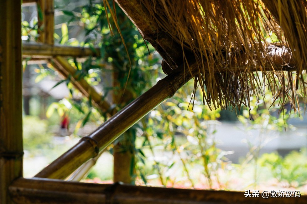 拙政园最让人欣赏的地方,拙政园十大特色