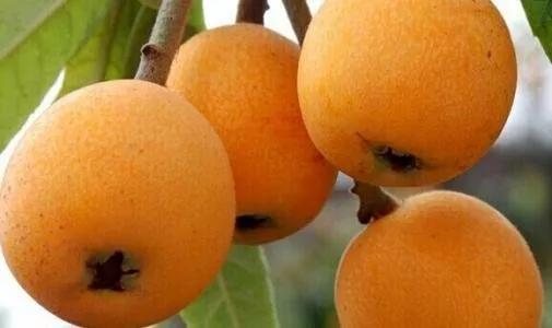 各种水果吃法时间表,7种水果要经常给孩子吃