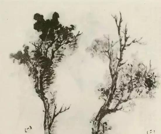 缠枝、挺杆、屈节、钮裂、一棵树如何画？看了这篇你绝对能学会