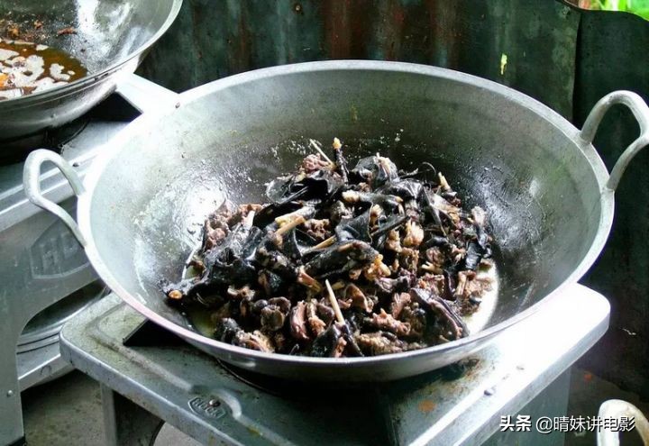 为什么蝙蝠携带病毒却不死,蝙蝠带病毒为啥不把蝙蝠给灭绝