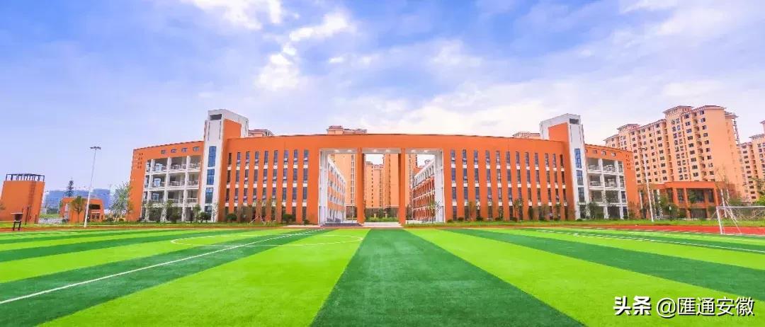 东坡区新增2所小学,颍州区学校最新消息