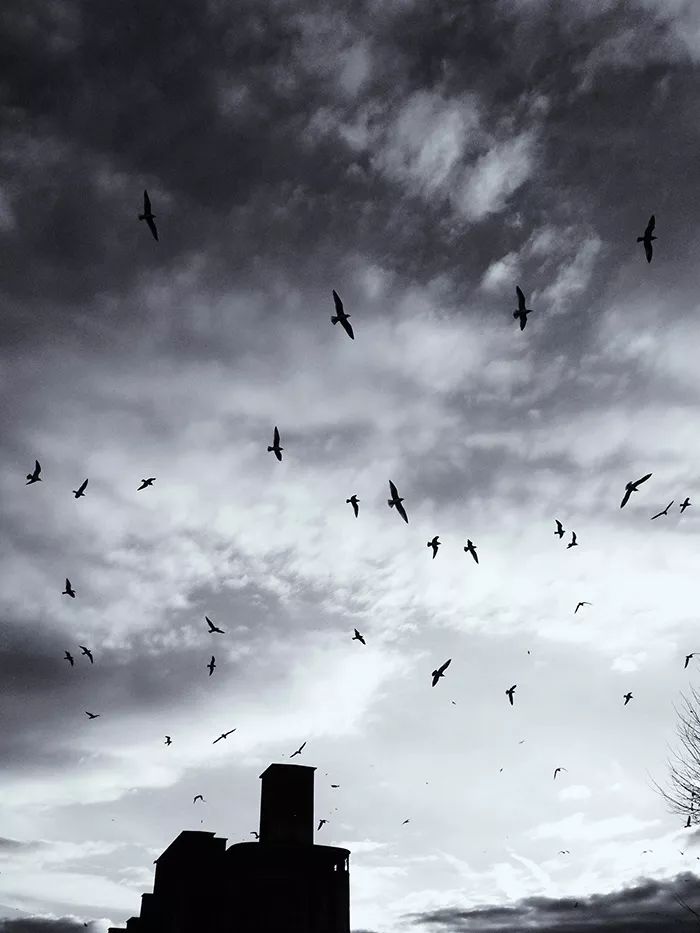 摄影小白适合拍什么,摄影小白拍人像用什么好