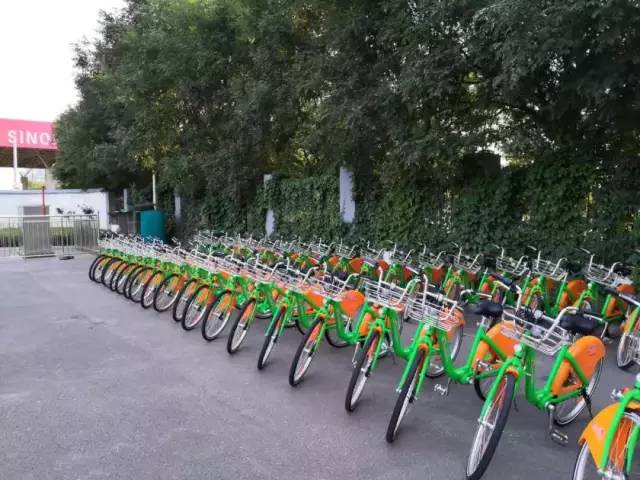 杭州公共自行车扫码租车怎么还车,太原公共自行车怎么扫码骑教程