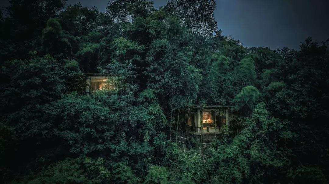 成都民宿推荐青城山,青城山花娟树屋民宿