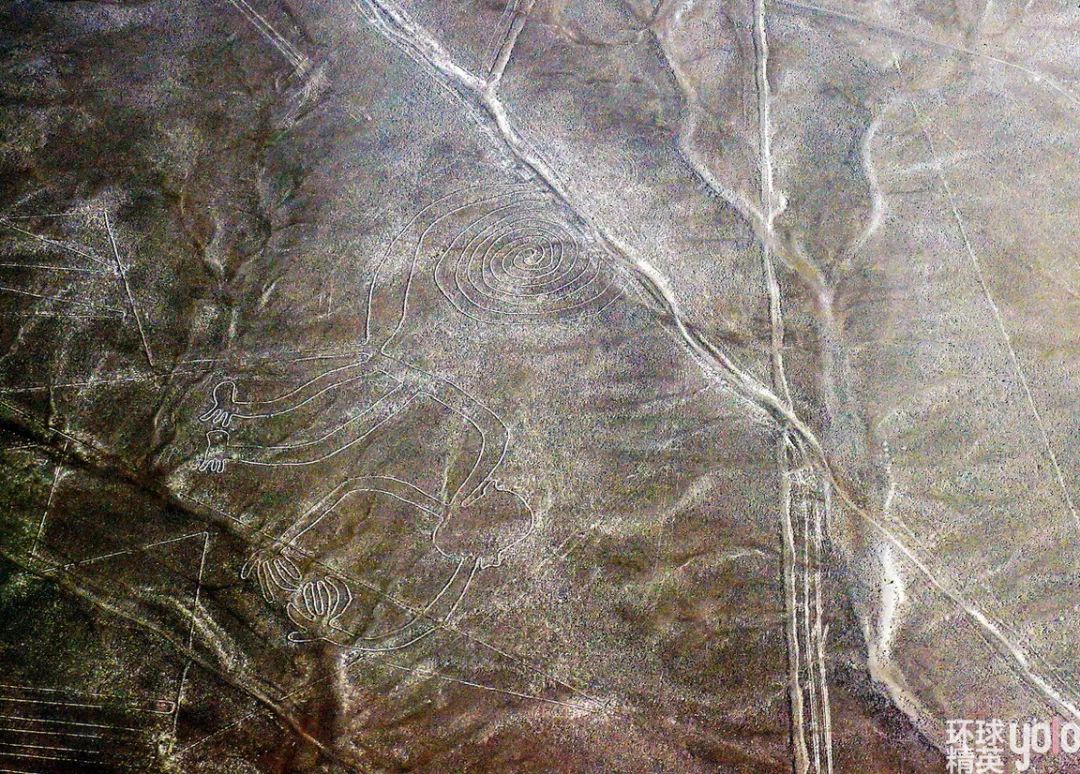 纳斯卡高原巨画之谜,秘鲁纳斯卡巨画解密