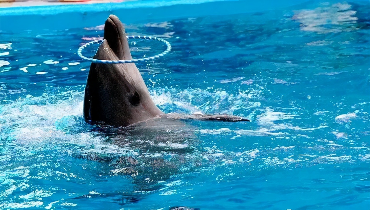 天津蓟州必去十大免费景点,天津旅游景点大全免费游玩