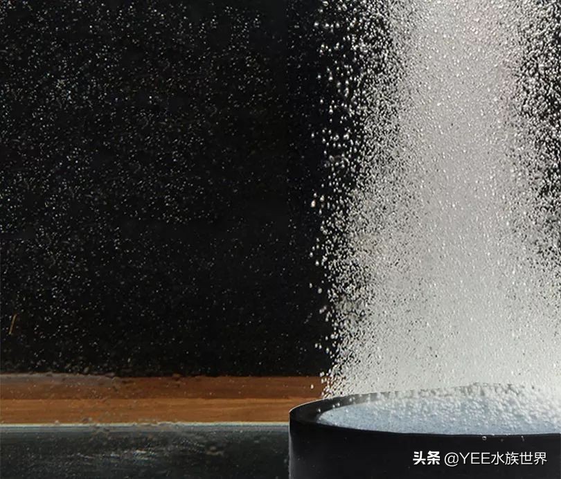 氧气泵太吵从这几点入手效果明显,鱼缸氧气泵太吵怎么解决