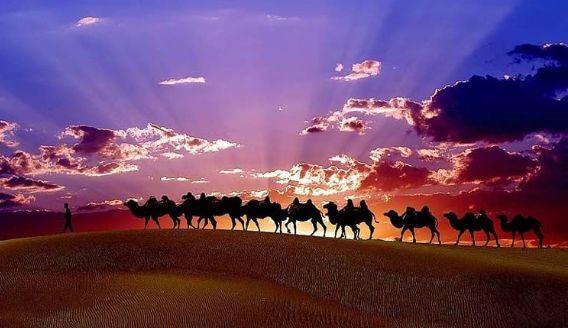 全国各省特产一览表宁夏枸杞,中国各省特产美食一览表