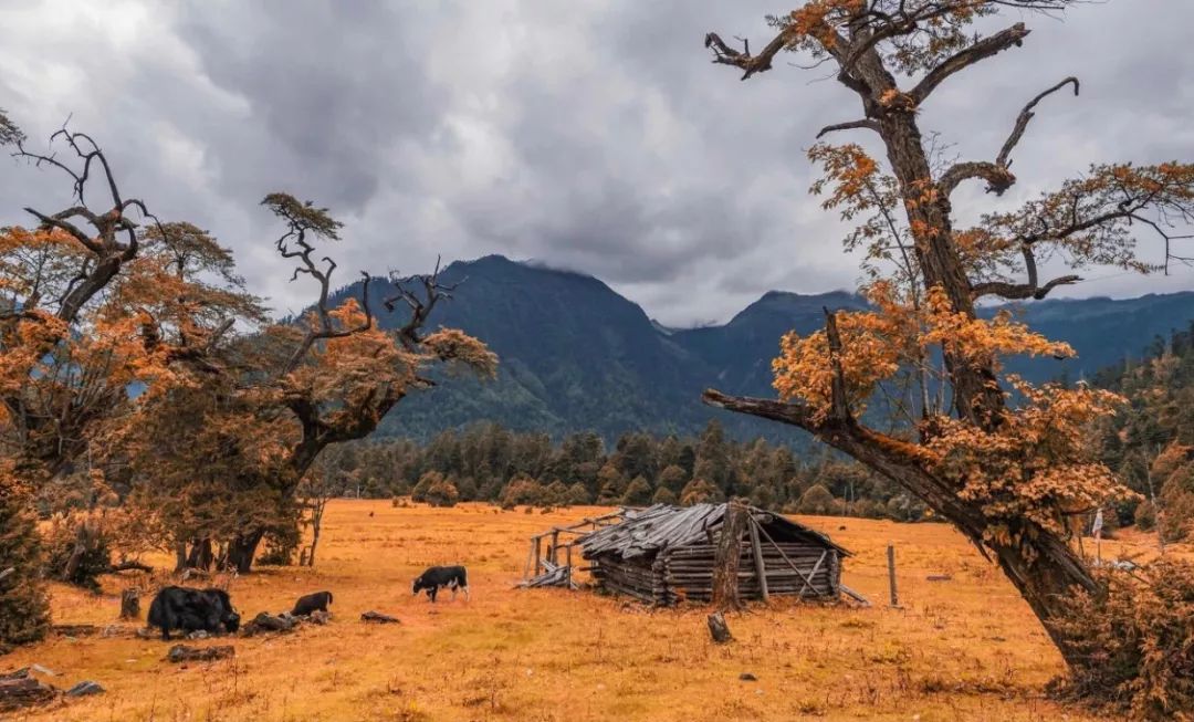 藏于山水间的度假酒店推荐,可以看日落和海景的度假酒店