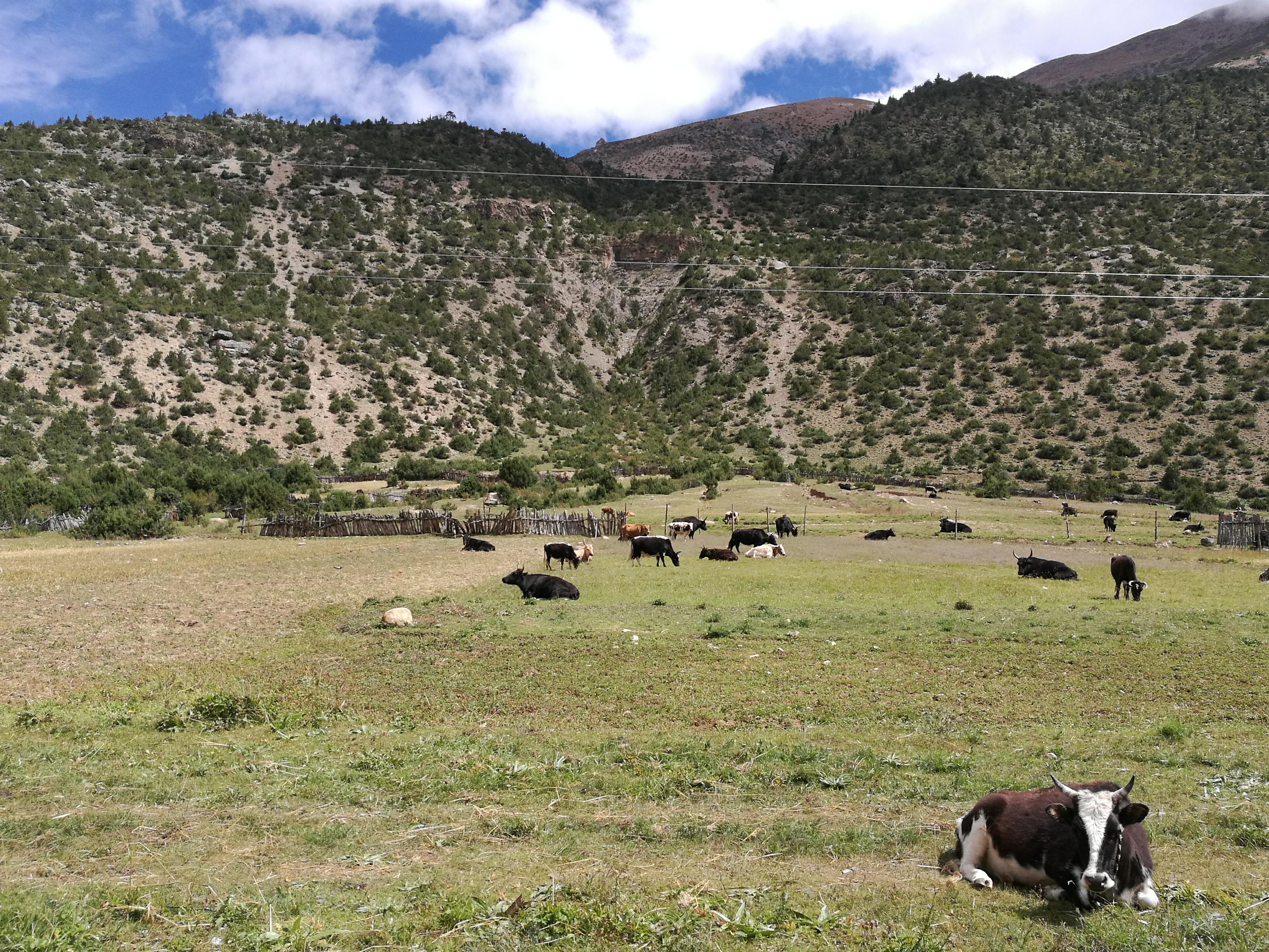 西藏第八天雪山下的然乌湖,从安徽到来西藏古冰川旅游攻略
