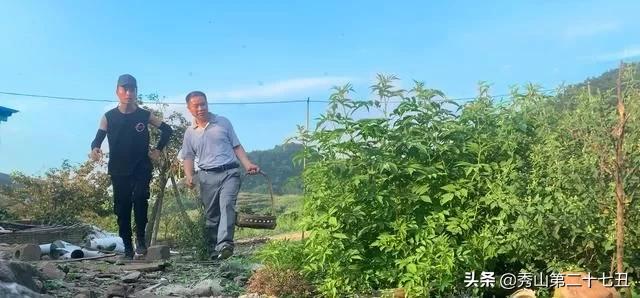 一万只土鸡卖柴鸡蛋年入百万,农村小伙养鸡一只鸡最贵卖1100元