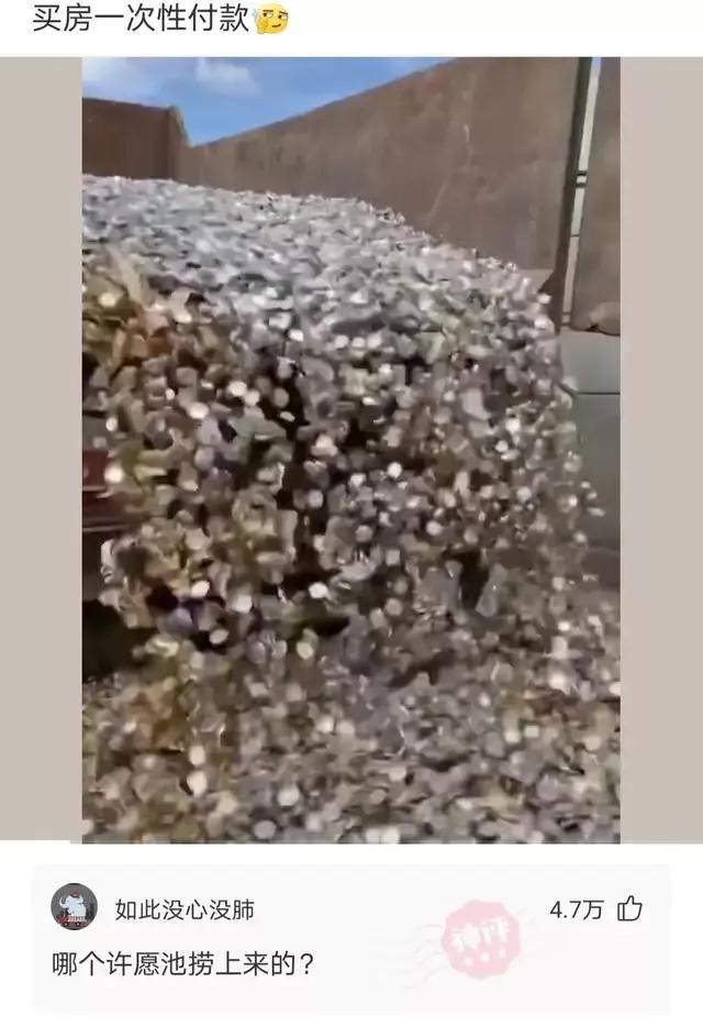 神回复下半句,神回复煮东西