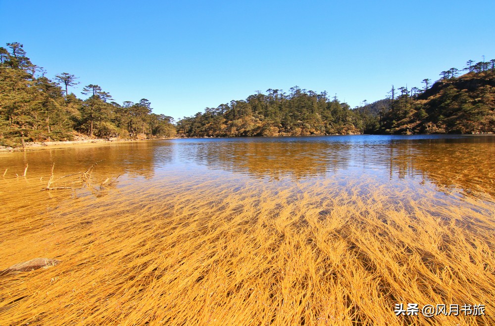 西昌山火肆虐过后救火者,西昌木里救火英雄