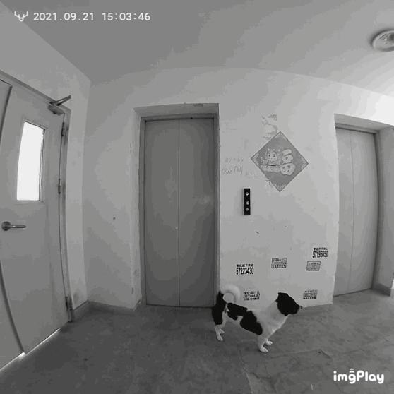 云米猫眼可视智能锁测评,云米智能门锁可视猫眼