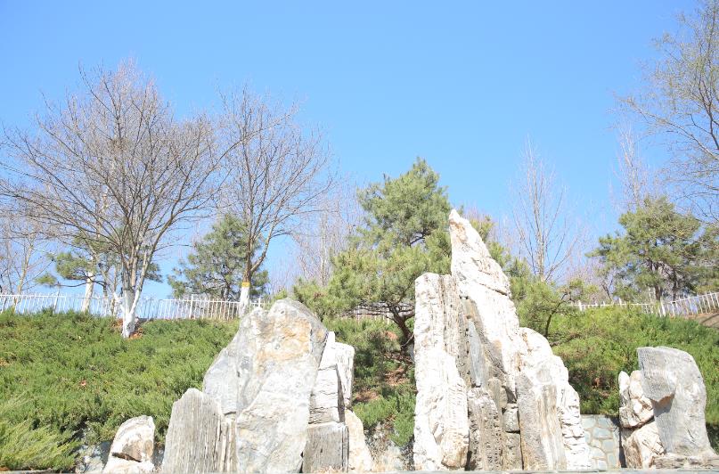 北京4月踏青的地方丰台区有哪些,丰台踏青好去处