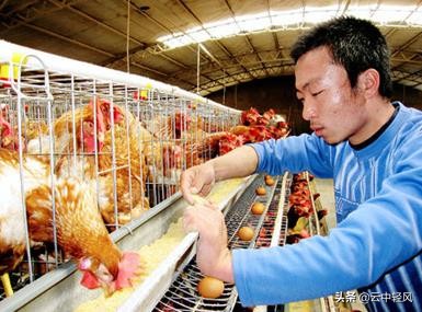 回家创业小本生意做什么合适,回农村创业的小本生意有哪些