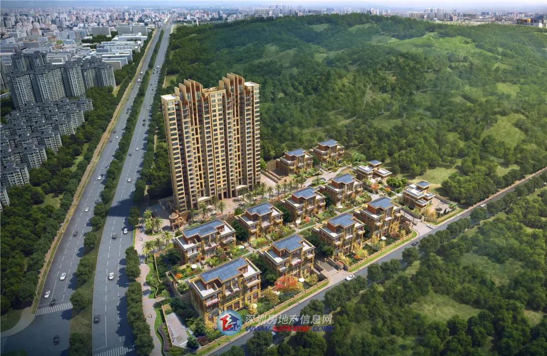 龙岗地铁口新房,深圳龙岗3万左右新楼盘