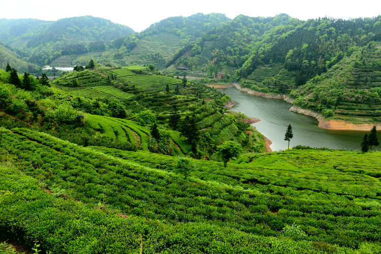 广州从化女生被骗十几万,永州被骗女子