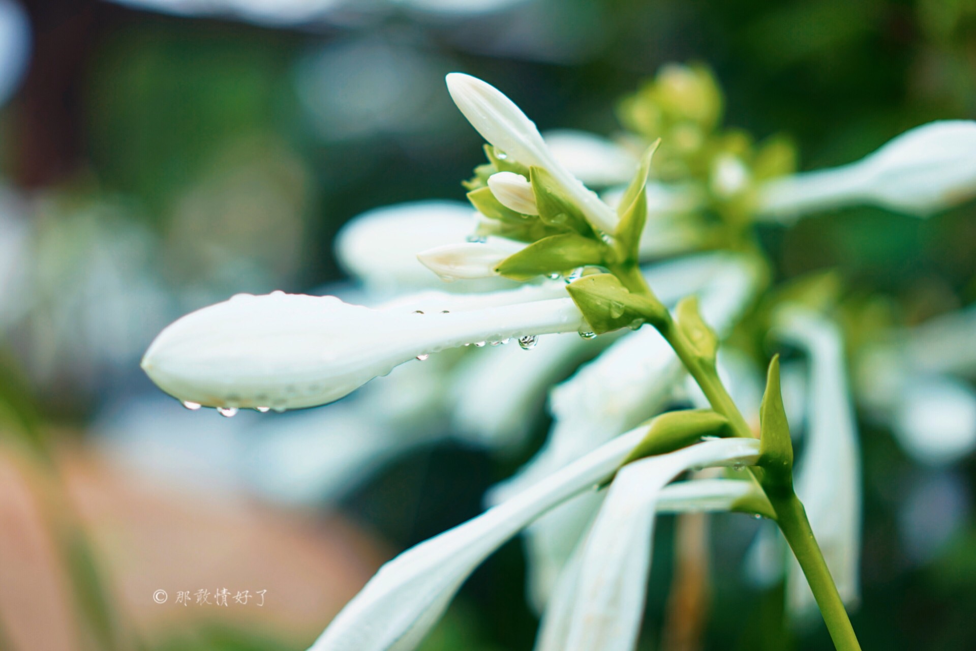 北京昌平带私人烧烤的民宿,昌平京郊民宿