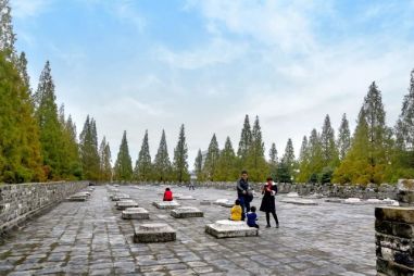 南京这些免费公园，让你任性玩个遍