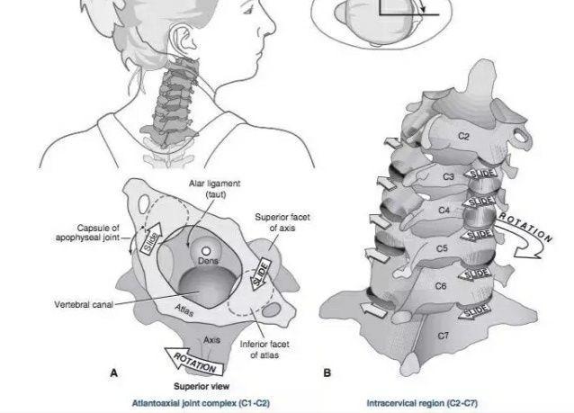 肌肉紧张？手臂发麻？你需要这套简单实用的瑜伽理疗方案