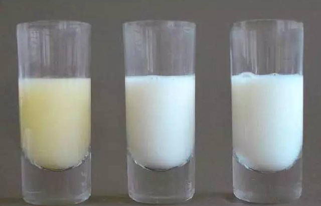 为什么宝宝出生就分泌奶水,宝宝一出生为啥就会吃奶