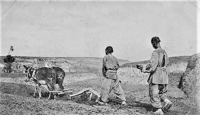 浙江老兵三个军功章,80岁老军人挂满军功章