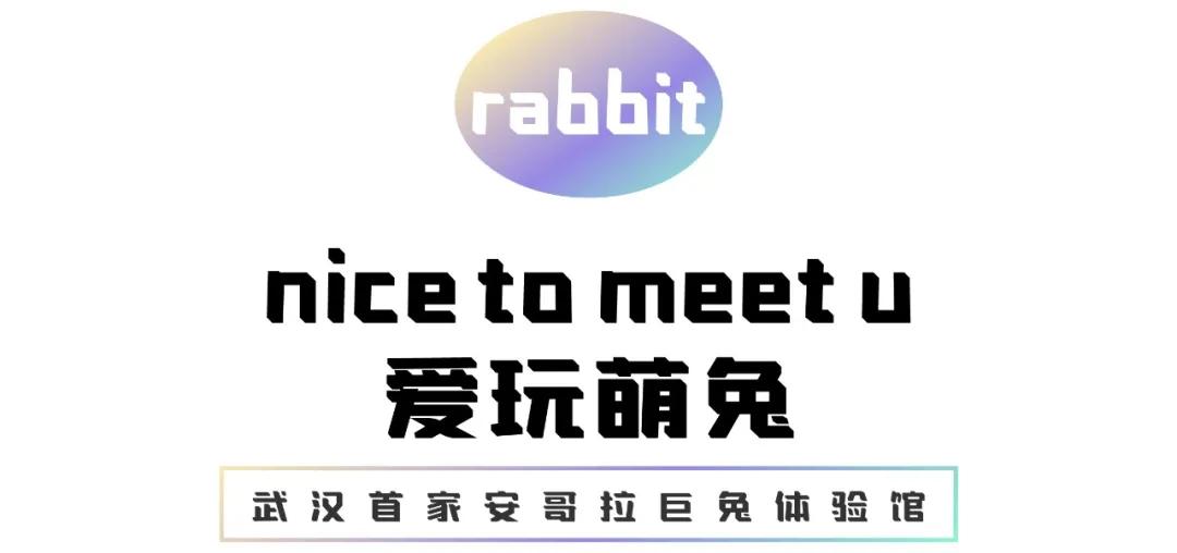 汉口宝藏,汉口宝藏小店