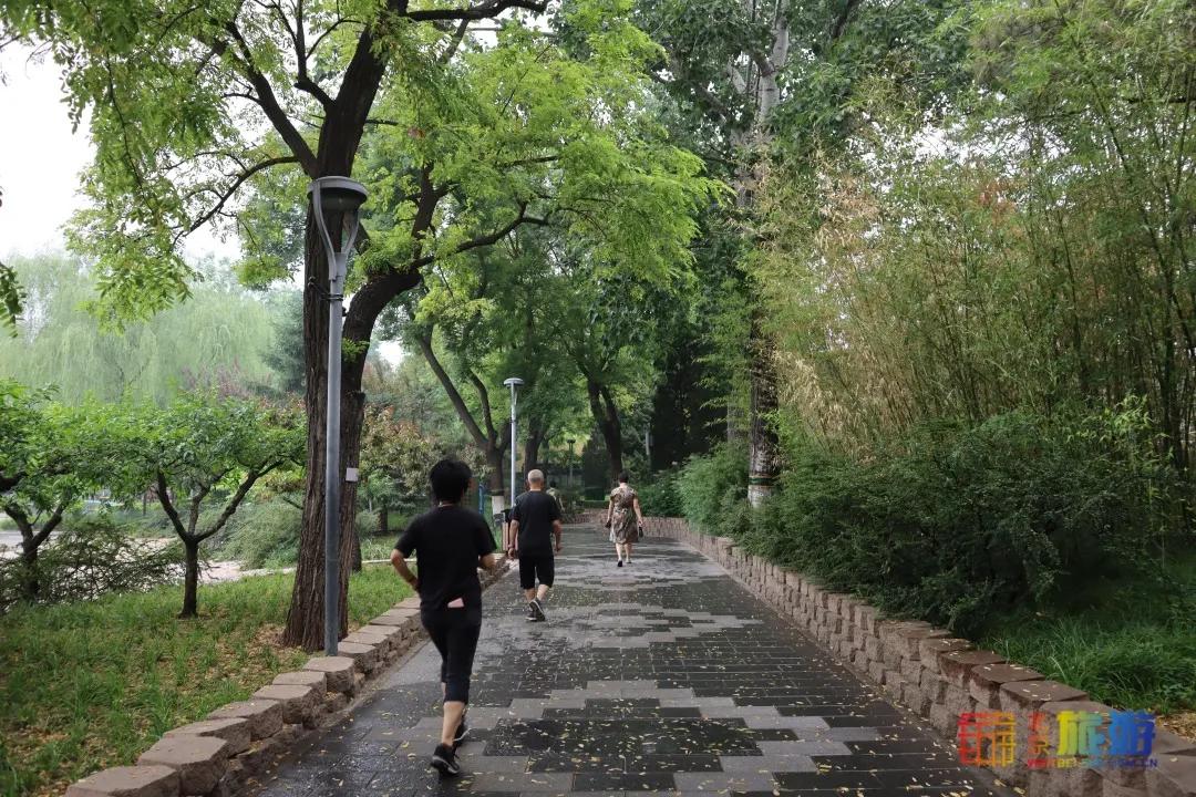 北京免费的花海公园,北京免费花海景区