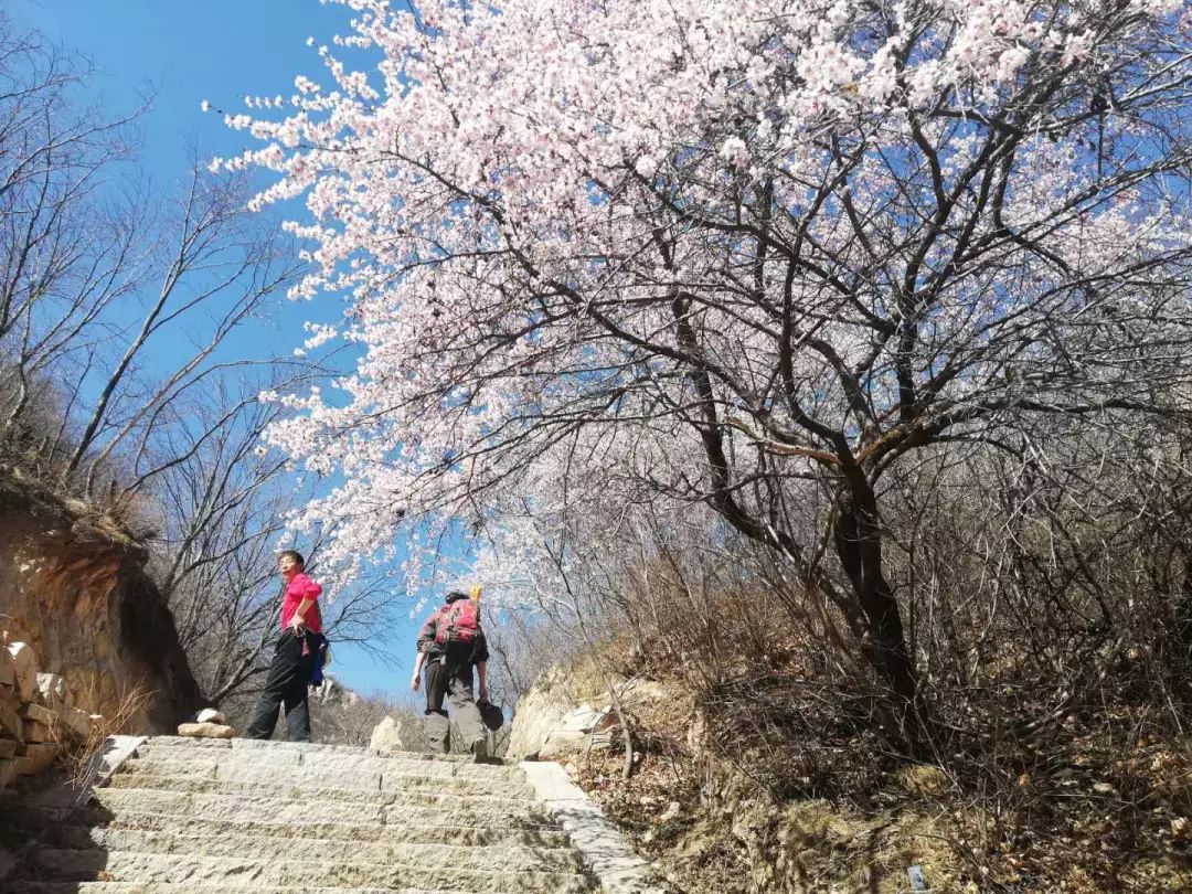 京郊四月美景,京郊四月
