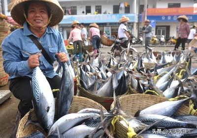 这三种鱼要少吃没营养,这几种鱼最好别吃赶紧告诉家人
