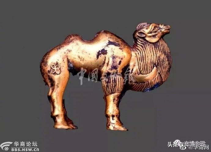 兵马俑一号坑第三次发掘现场 (兵马俑3号坑发掘了吗)