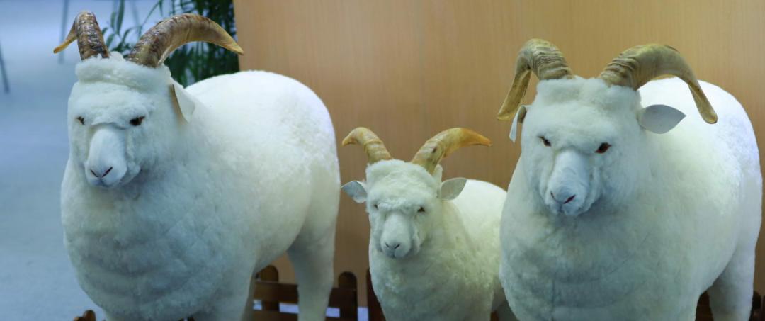 真的！“薅羊毛大师”0元薅下7900元的新衣服，直到后悔