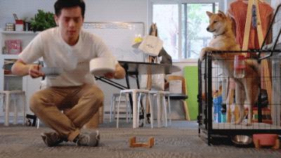 明星推荐麦片,网红同款麦片