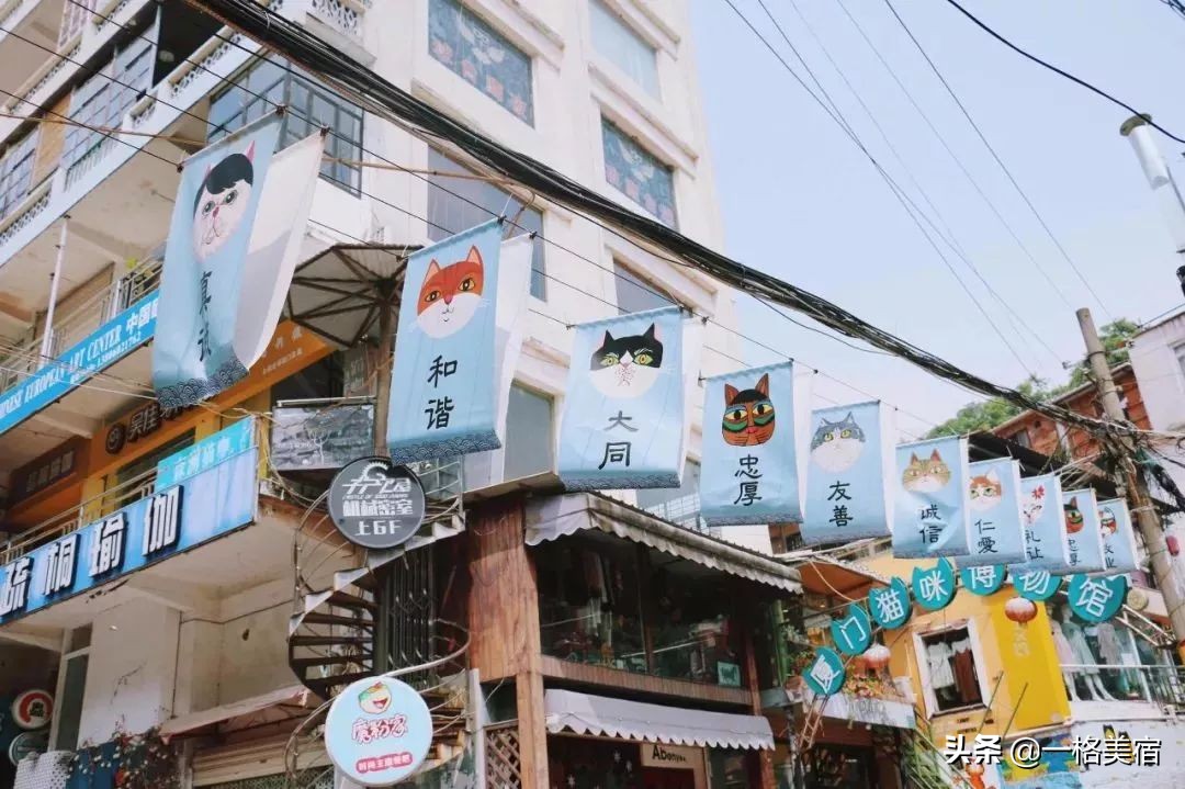 厦门五日游必去十大景点有哪些,厦门一日游必去的五个景点