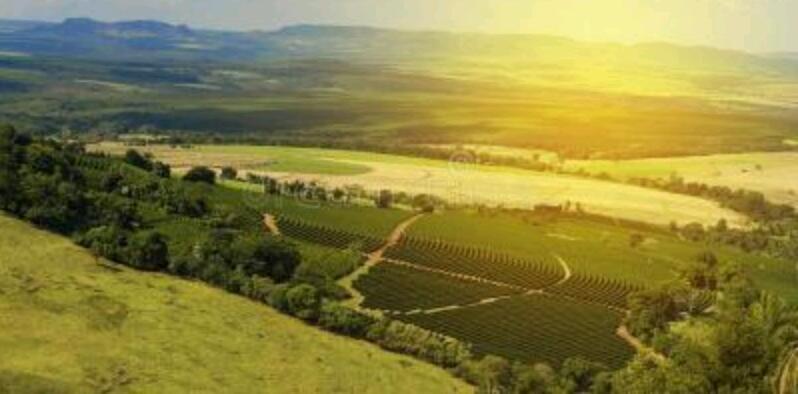 2002年洪都拉斯与中国足球,萨尔瓦多2:0洪都拉斯