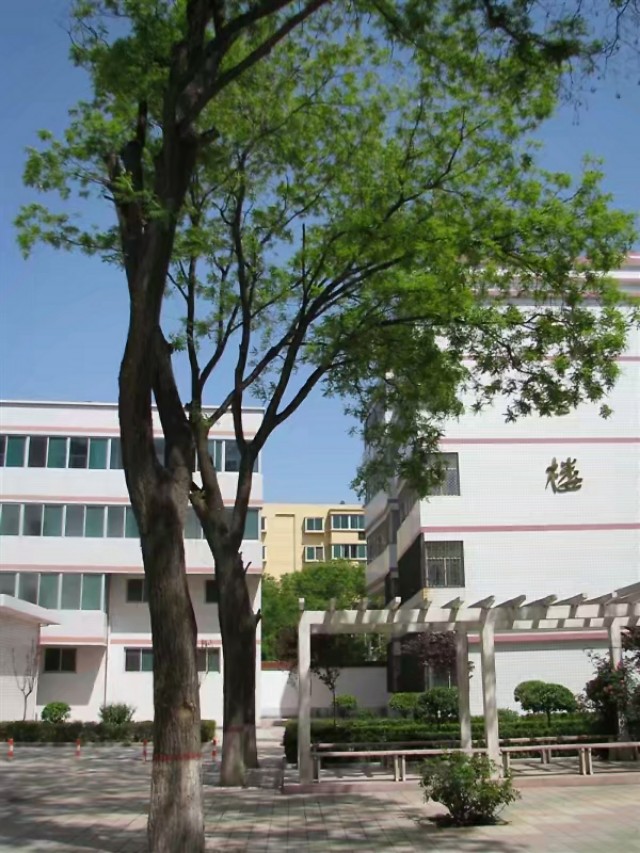 三原南郊中学简介,三原南郊中学名人