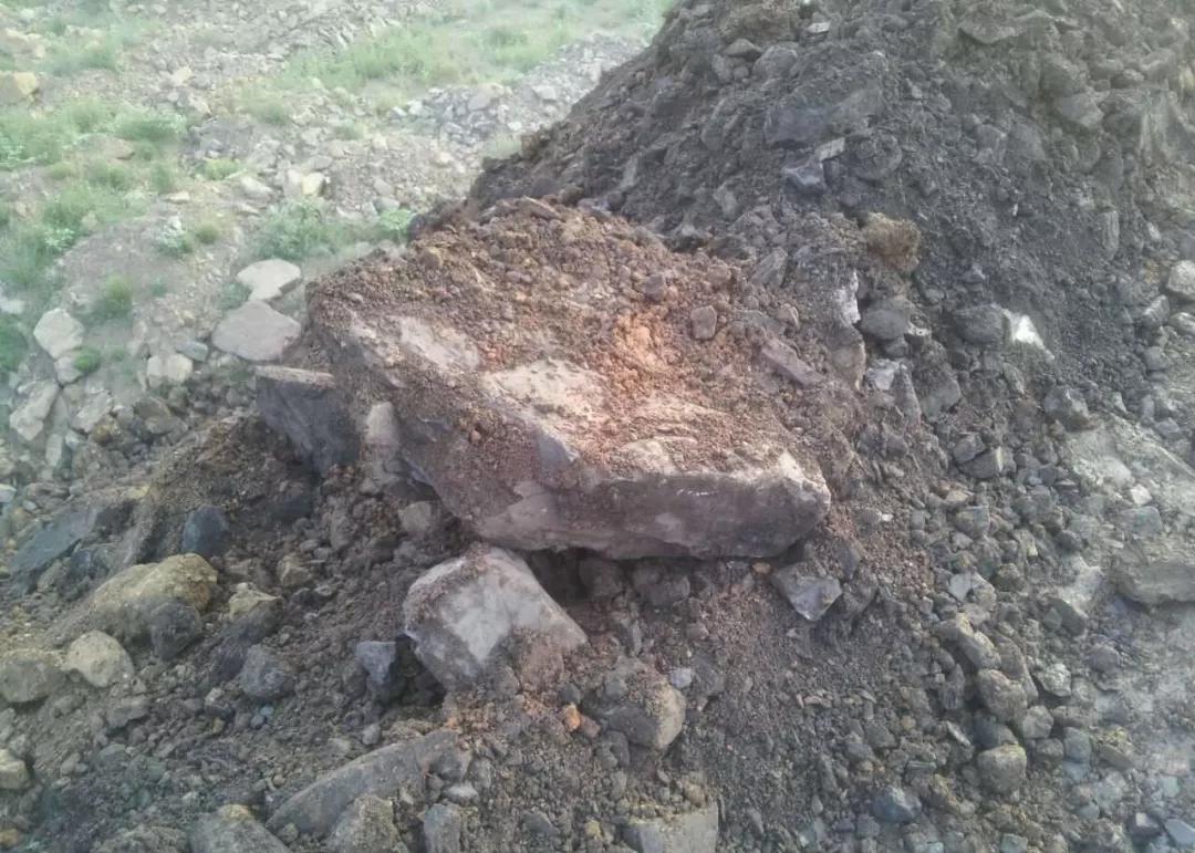 回潮天气怎么预防地板湿,墙角受潮发霉长蘑菇怎么处理