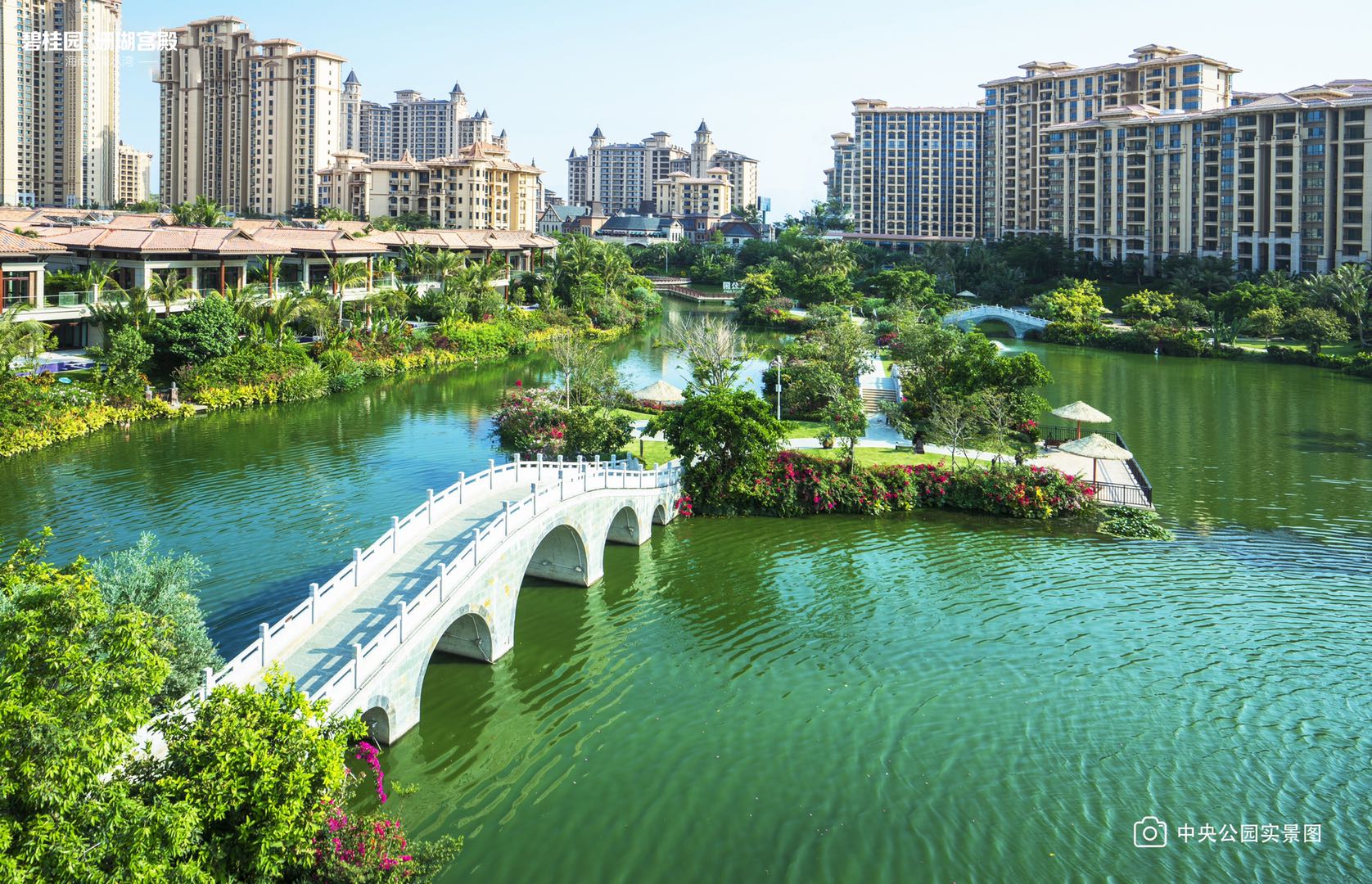 清水湾碧桂园珊瑚宫殿二手房,清水湾碧桂园珊瑚宫殿别墅