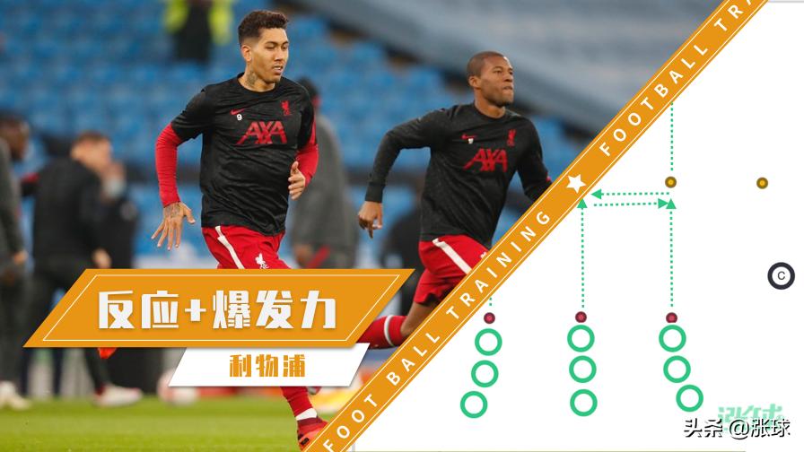 提升反应力的游戏有哪些,提升爆发力赋能游戏