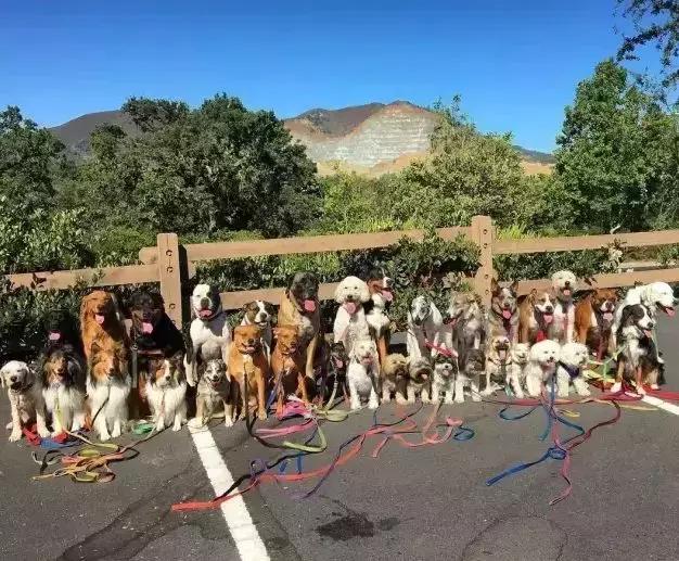 平时瓶盖都拧不开的小女生,平时拧不开瓶盖的女孩原视频