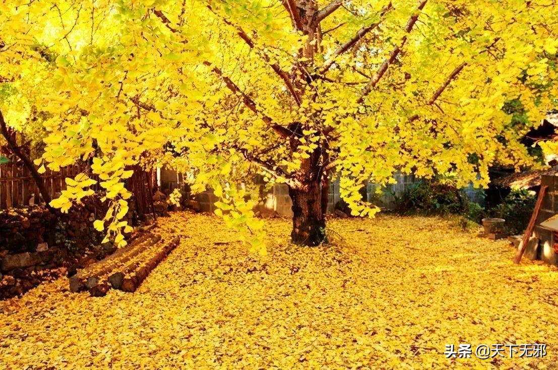 中国无神论史,中国无神论发展史